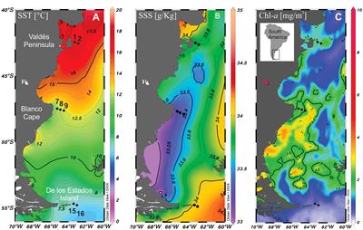 Metabarcoding and microscopy characterization of phytoplankton from frontal areas of the Argentine Sea
